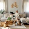 Décoration Murale <br>Les Cinq Rayonnants