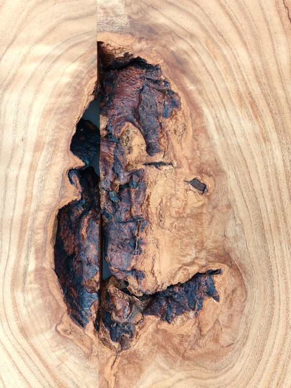 bois avec noeud