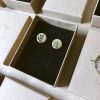 20260721_193209 Origine - Boucles d'oreilles puces en bois